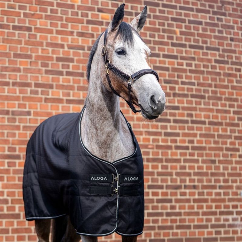 Aloga Pro Stable 100g