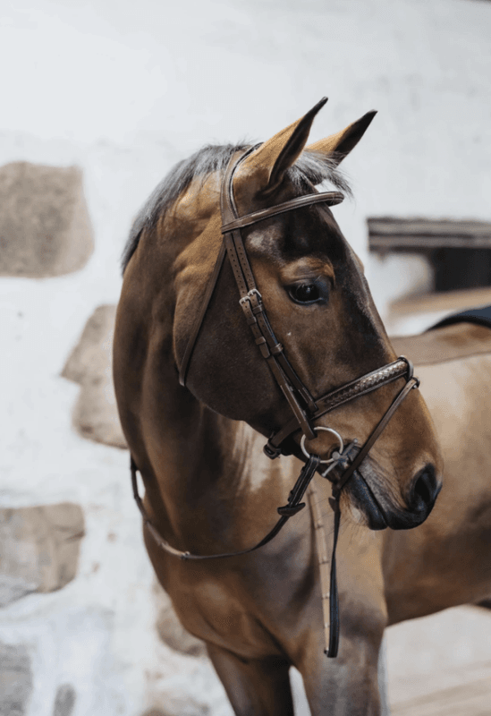 BHOOF BRIDLE 1 - BRAIDED