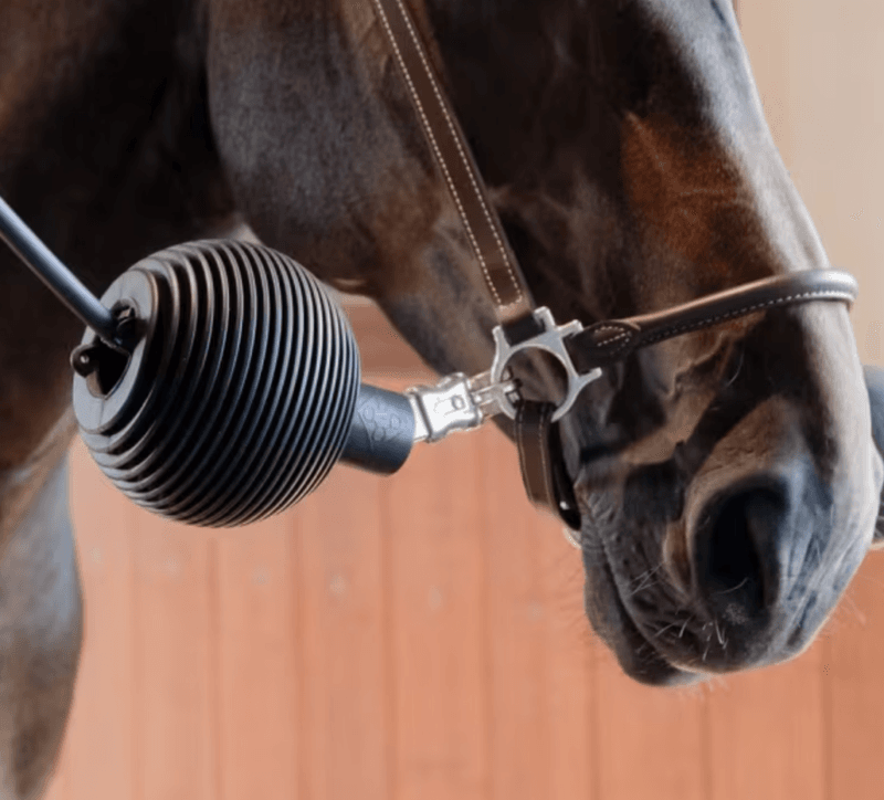 Kentucky Lead & Wall Protection Rubber Ball Pro