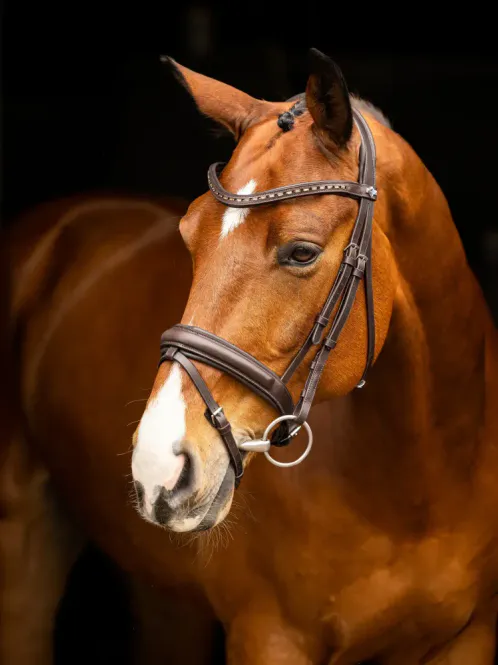 Hovedbilde LeMieux Arika Dressage Bridle