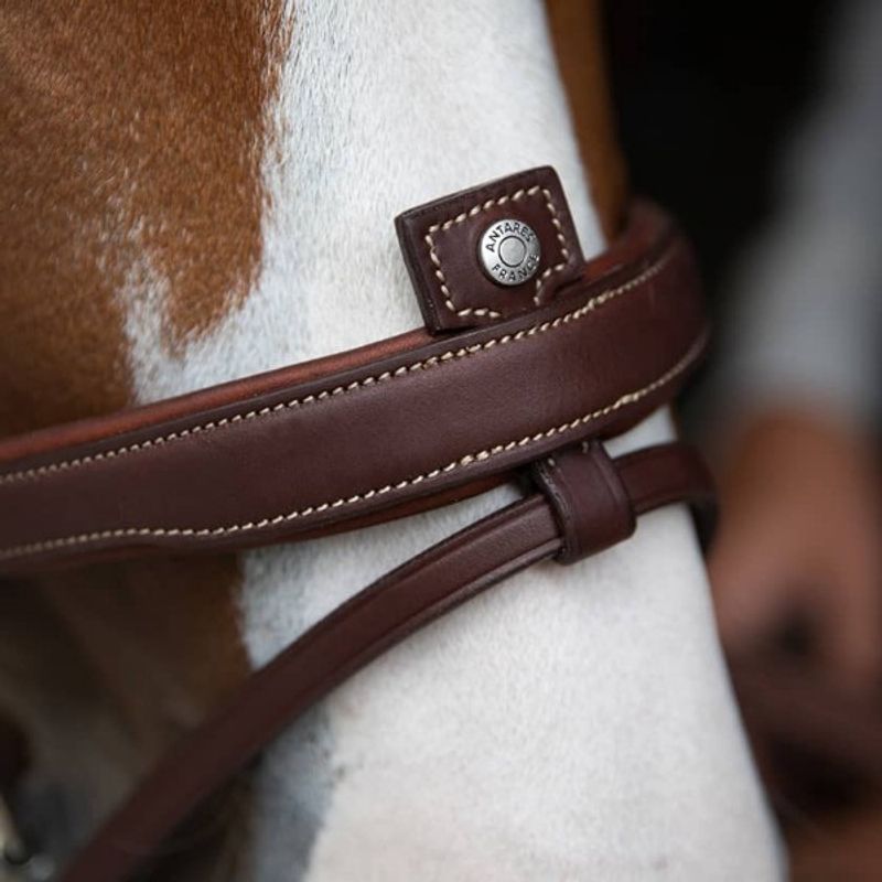 Antarès Origin anatomic flash noseband bridle