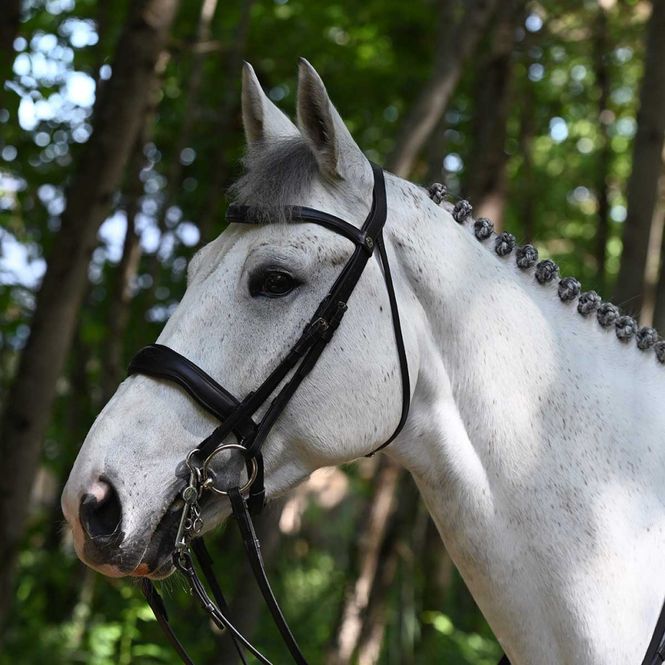 Hovedbilde Signature by Antarès Kandar