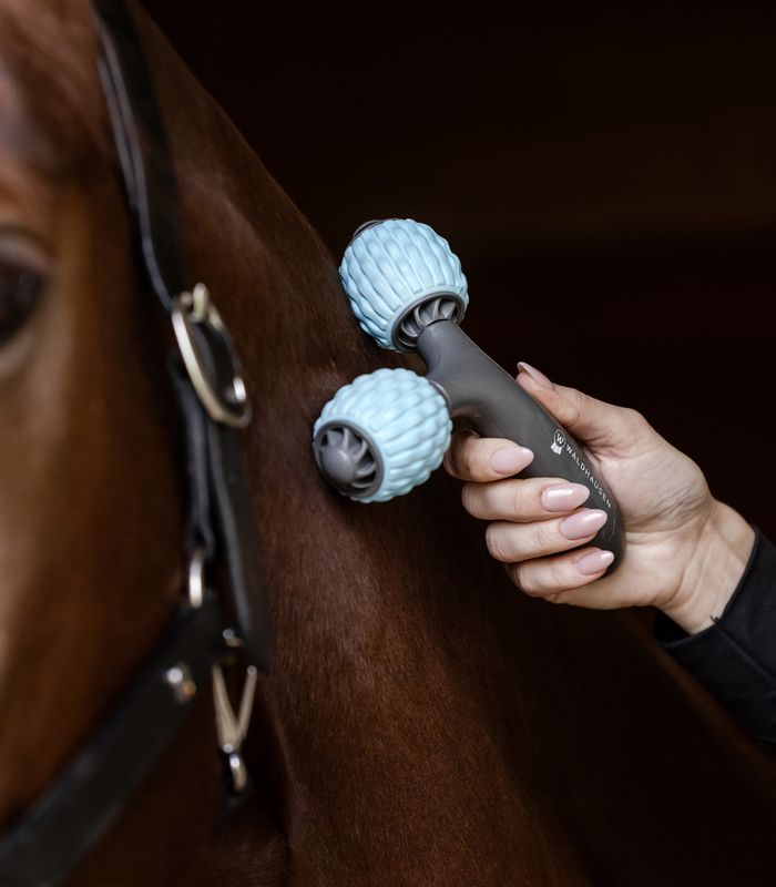 Waldhausen Health + Care Massasjerulle 