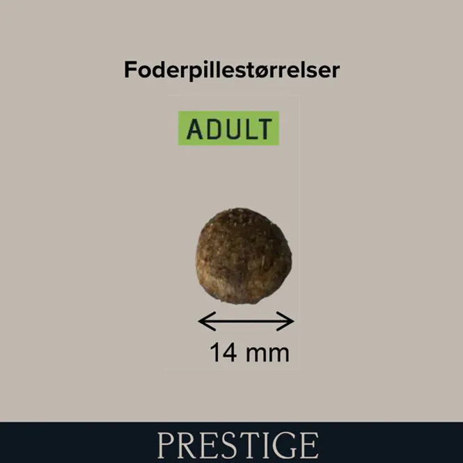 Hovedbilde Prestige Adult Medium - 14 kg