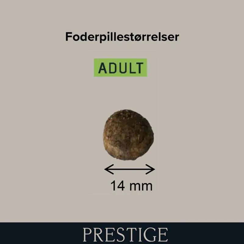 Prestige Adult Medium - 14 kg