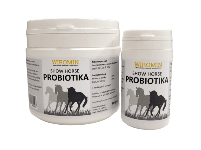 Hovedbilde Show Horse Probiotika