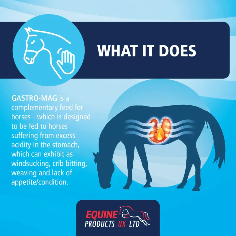 Equine Gastro Mag 