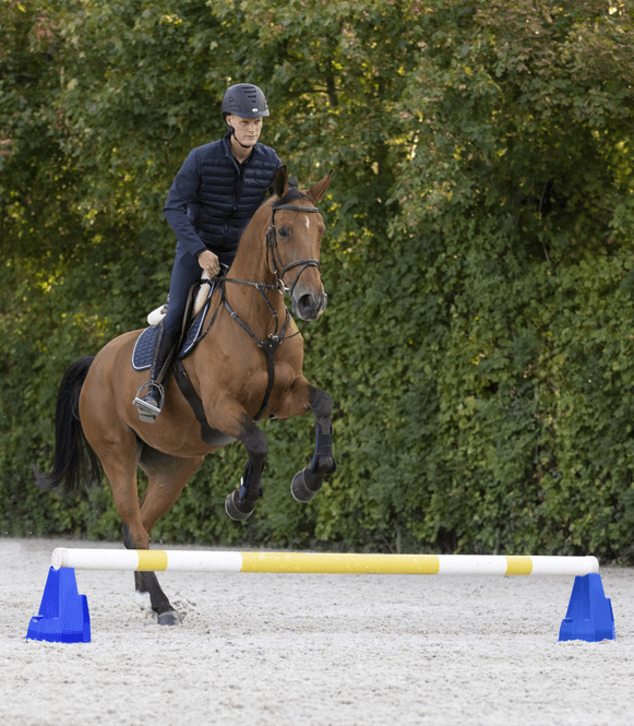 Hovedbilde Waldhausen Cavaletti Block