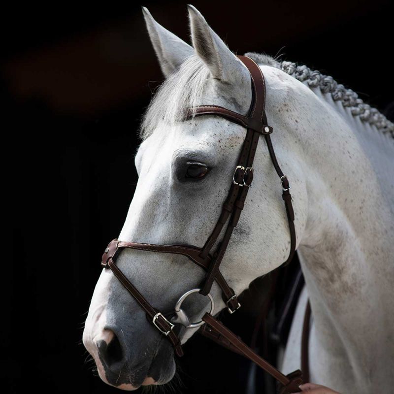 Antarès Origin Figure 8 Bridle
