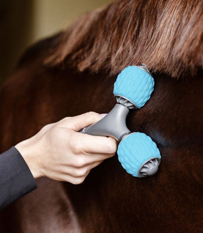 Waldhausen Health + Care Massasjerulle 