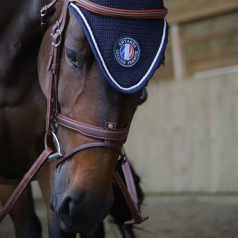 Antarès Origin anatomic flash noseband bridle