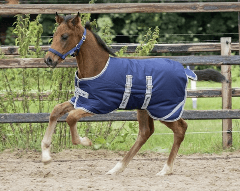 Bucas Følldekken 50g