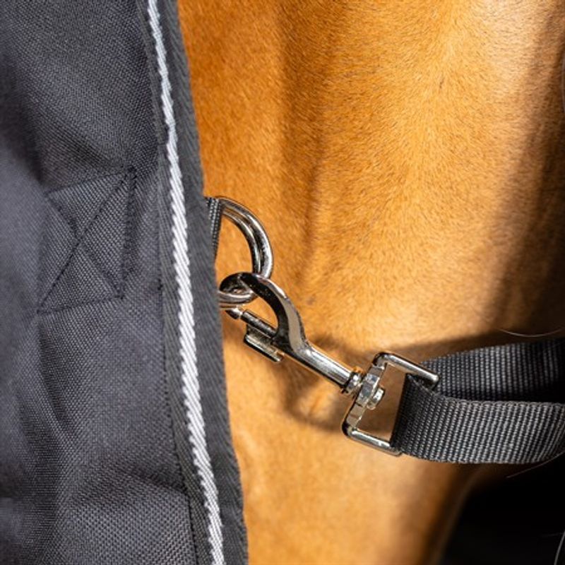 Aloga Pony Pro Stable 200g
