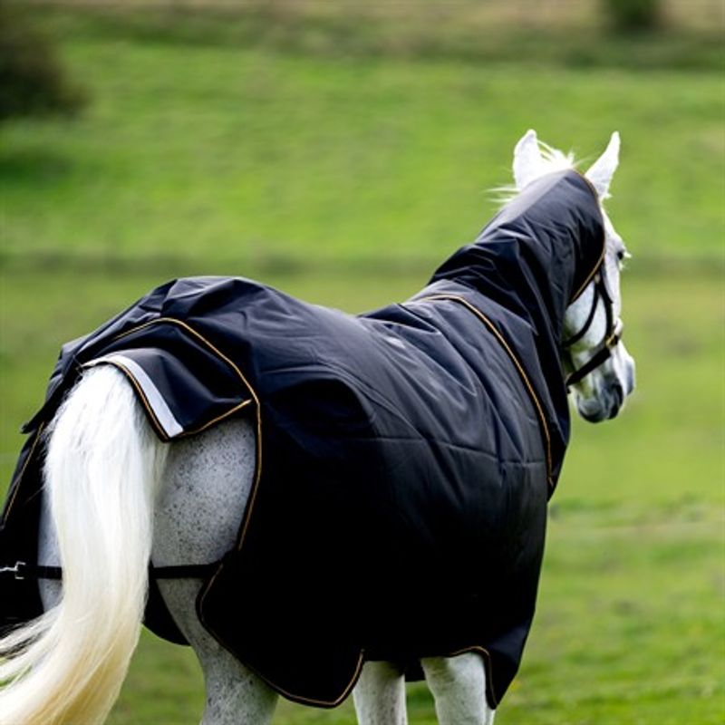 Aloga Pony Pro Turnout with hood 200g
