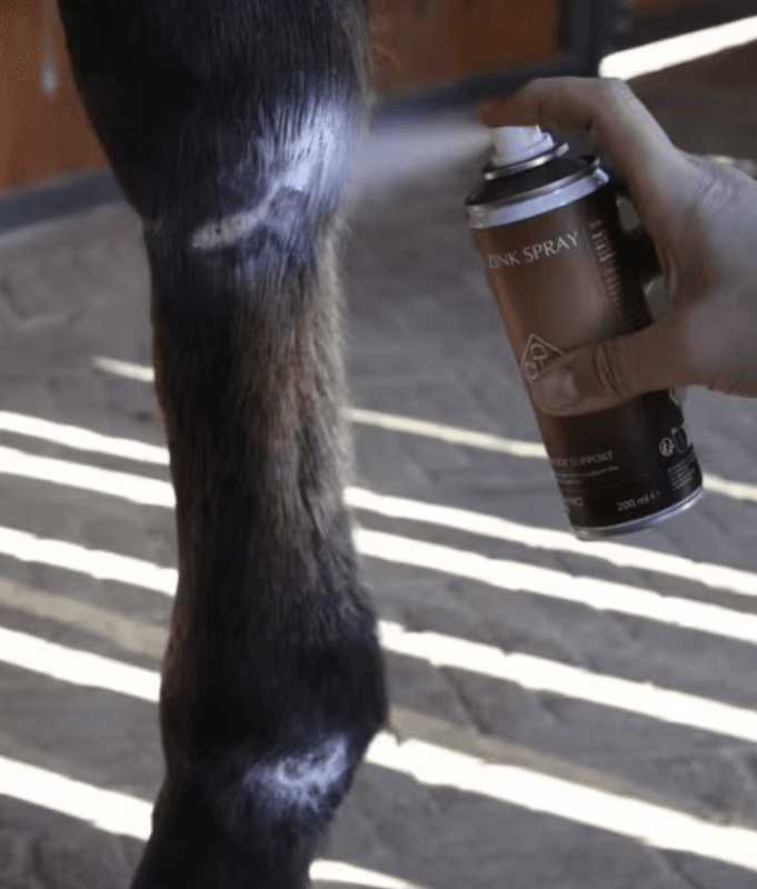 Grooming Deluxe Zinc Spray