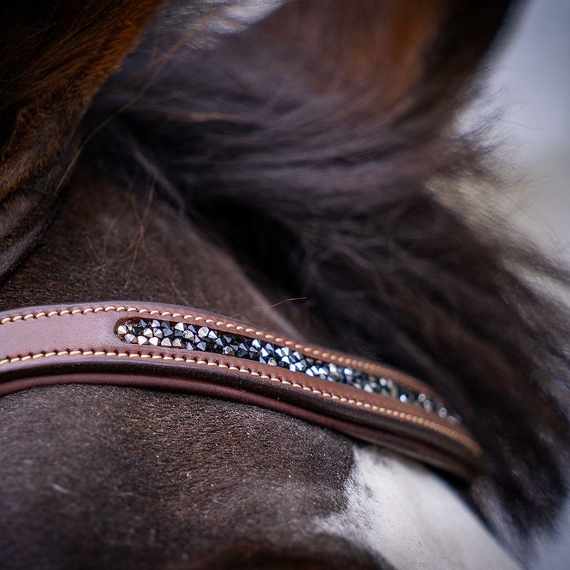 Antarès Precision Crystal browband