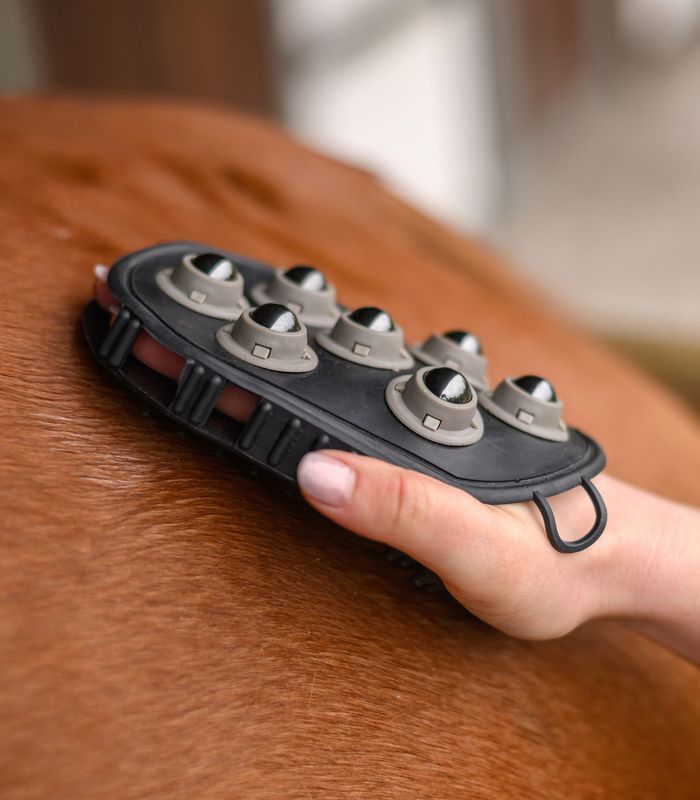 Waldhausen Massasjehanske