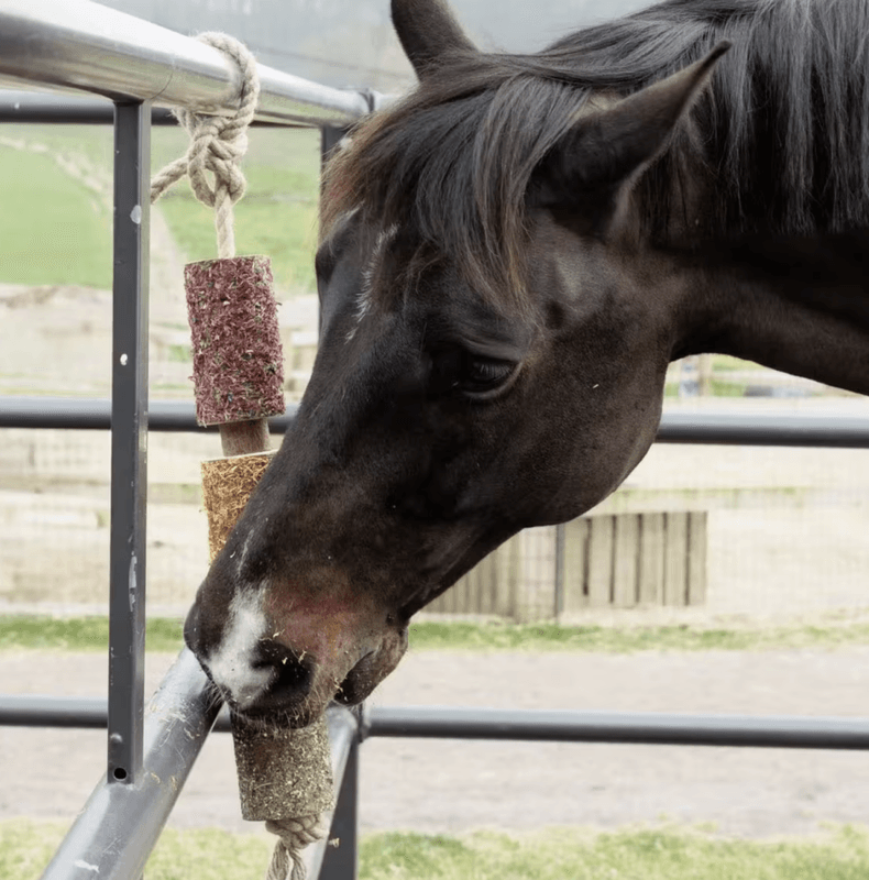 Grooming Deluxe Wooden Relax Horse Toy De-Stress