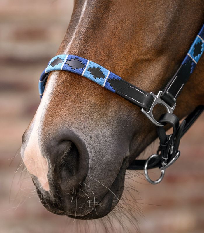 Waldhausen X-Line Lærgrime Polo