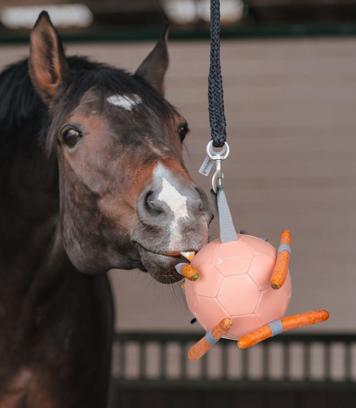 Waldhausen Carrot ball