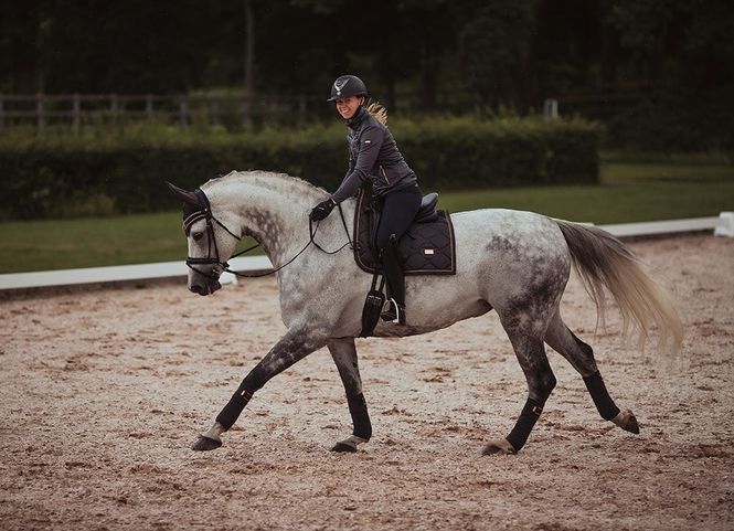 Hovedbilde EQ Stockholm Dressur sjabrakk Dark Sky