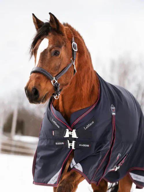 Hovedbilde LeMieux Kudos Turnout Rug 200g