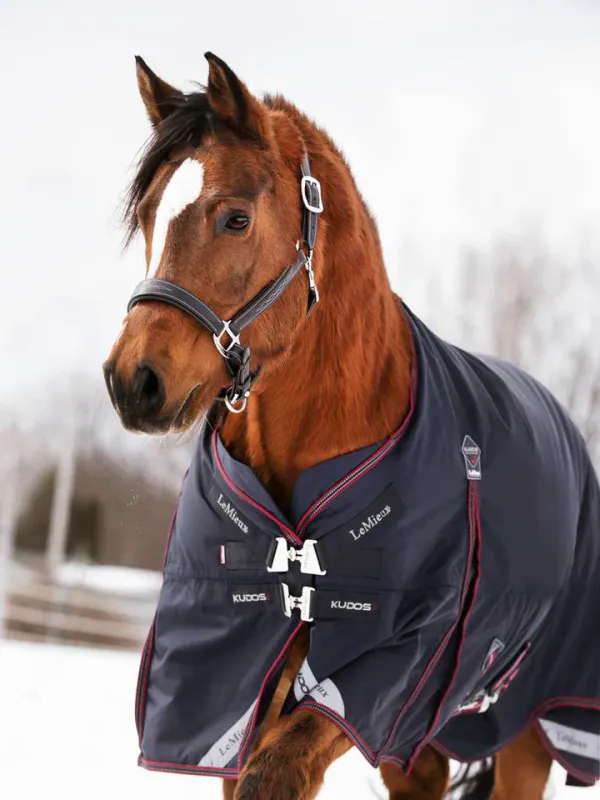 LeMieux Kudos Turnout Rug 200g